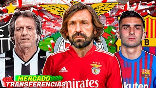 10 TRANSFERENCIAS CONFIRMADAS  RUMORES DE 2021 Pirlo Benfica  Jorge Jesus Atletico Mg  Torres [upl. by Ardel]