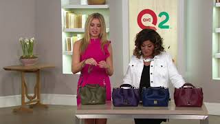 Dooney amp Bourke Saffiano Leather Mini Barlow Crossbody on QVC [upl. by Ahsen]