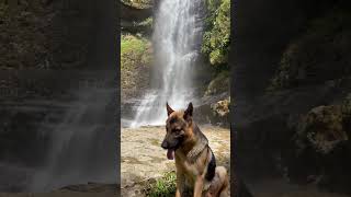 QUE BELLEZA CASCADA JUAN CURI Paramo Santander Colombia [upl. by Adamo]