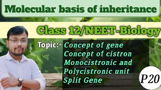 Molecular basis of inheritancePart 20Concept of Gene amp cistron class12 neet biology ncert [upl. by Camroc]