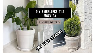 ¿CÓMO PINTAR una MACETAS DIy FACIL y BARATO  INTERIORES [upl. by Soneson586]