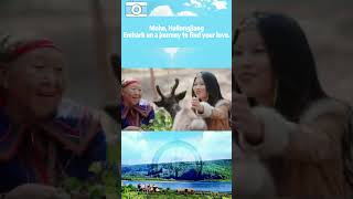 Reindeer Romance amp Northern Lights My Mohe China Travel Diary [upl. by Yzeerb359]