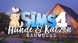 Die Sims 4 Hunde amp Katzen 🐈 HAUS BAU [upl. by Inverson]