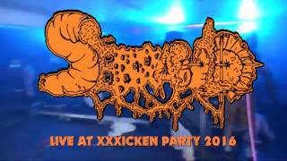 SERRABULHO  Buttman Live at XXXICKEN PARTY 2016 [upl. by Malony600]