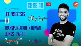 Transportation in Human Beings  Life Process  Part2 Class 10 Biology Amrit SirVedantu910 [upl. by Averyl243]