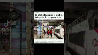 JUSTICE La SNCF relaxée pour la mort de Neko chat écrasé par un train [upl. by Haig]