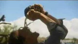 Bear Grylls eats Elephant and Camel Dung Combined [upl. by Aliakim]