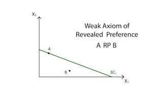 A14 Revealed preference  Consumption  Microeconomics [upl. by Yoo]