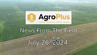 AgroPlus News from the field July 26 2024 [upl. by Leirum]