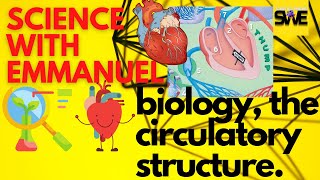 THE CIRCULATORY SYSTEM  GCSE IGCSE AND KCSE BIOLOGY  AQA EDEXCEL CIE OCR WJEC [upl. by Durr]