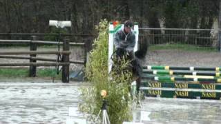 ♥ Ludovic Leygue and Spirit of Semilly stallion SF [upl. by Stubbs]