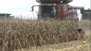 Geringhoff Folding Rota Disc at the Husker Harvest Days field demo [upl. by Liemaj8]