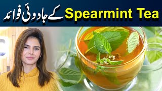 Magical Benefits of Spearmint Tea  Ayesha Nasir [upl. by Siegler943]