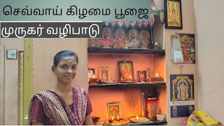 செவ்வாய் கிழமை பூஜை 🙏 முருகர் வழிபாடு sevvai kilamai poojai  murugar valipadu [upl. by Tawnya]