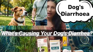 Why Is My Dog Having Diarrheaकुत्ते का दस्तmylifesvlogsdrpriyanka trendingviralvideopetcare [upl. by Enilatan]