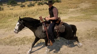 MOD Arthur Free Roam In New Austin With Baylock And Attacking Del Lobo Gang Red Dead Redemption 2 [upl. by Bunnie]