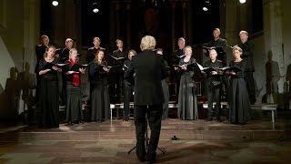 Brahms Waldesnacht  Mogens Dahl Chamber Choir [upl. by Madden725]