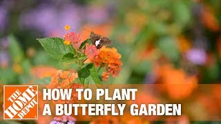 How To Build a Butterfly Garden  The Home Depot [upl. by Strang]