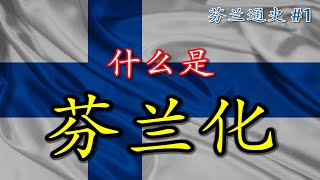 一个乌拉尔语民族怎么就成了斯堪的纳维亚国家了呢？【芬兰通史】Ep1 [upl. by Jariah217]