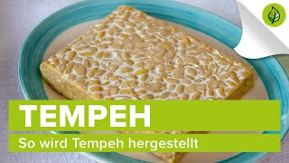 So wird Tempeh hergestellt [upl. by Scuram]