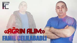 Famil Celilabadli  Agrin alim 2022 [upl. by Nhor757]