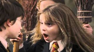 Youtube Poop  Harry Potter and the Sorcerers Toast  Chapter 10 [upl. by Uuge]