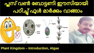 Plus One Botany Chapter 2 Plant Kingdom Part 1  Introduction Algae Malayalam Focus Area [upl. by Wit553]