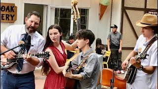 18strings bluegrass band plays Carolina in the pines [upl. by Edac]