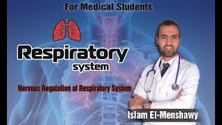 Nervous Regulation of Respiration [upl. by Deuno71]