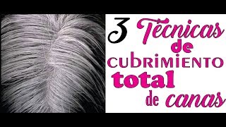 COMO CUBRIR TOTALMENTE LAS CANAS CON ESTAS 3 TÉCNICAS FÁCIL Y RÁPIDOHOW TO COVER TOTALLY THE grays [upl. by Eirameinna712]