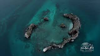 Magic of Floreana Island Galapagos [upl. by Muriah660]