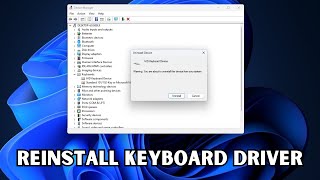 How To Reinstall Keyboard Driver In Windows 11 amp 10 [upl. by Island401]