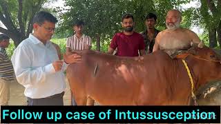 Follow up case of Intussusception l Bloat l tympani l dr Umar khan [upl. by Mortimer]