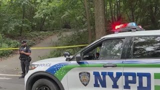 Person of interest in custody in Central Park attempted sex assault sources [upl. by Nangem]