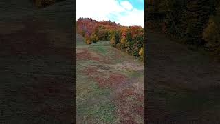 Killington Vermont Fall Foliage  Gondola Ride nature vermont vermontfallfoliage fallcolors [upl. by Mikael841]