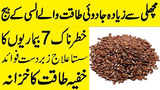 Flax Seeds Alsi Khane Ke Fayde  Flax Seed benefits in urdu  Alsi ke beej benefits  Alsi ky fayde [upl. by Penni]