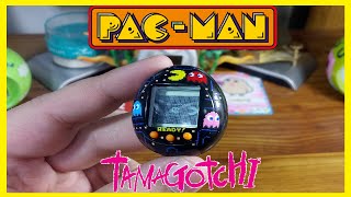 PacMan Tamagotchi Review [upl. by Ecnedac]