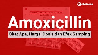 Amoxicillin Obat Apa Harga Dosis Efek Samping [upl. by Dlanar]