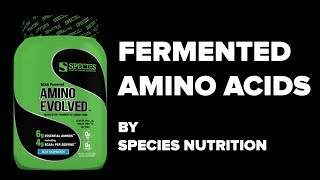 Dave Palumbo on AMINO EVOLVED by SPECIES Nutrition [upl. by Nutsud586]