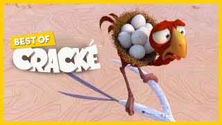 CRACKÉ  SUDDEN BREAK  Cartoon Animation  Compilation [upl. by Olinad]