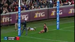 Round 11 AFL  Essendon v Carlton Highlights [upl. by Lenehc]