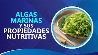 ALGAS MARINAS Y SUS PROPIEDADES NUTRITIVAS [upl. by Klayman]