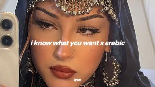 i know what you want x arabic ريمكس  شيرين  صبرى قليل tiktok song [upl. by Ahsina]