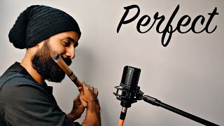 Ed Sheeran  Perfect  Unplugged Flute Cover  Rahul Krishnan [upl. by Aidnic]