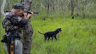 Using a SINGLE Shot 22 Magnum to Hunt Wild Boar [upl. by Htebzil]