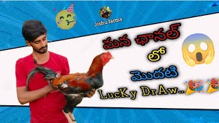 Lucky draw మన చానల్లో మొదటి లక్కీ డ్రా తక్కువకే పెట్టానుchicken lucky luckydraw [upl. by Pain]