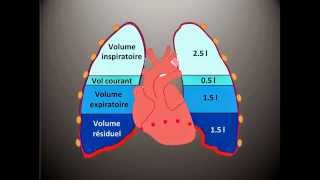 Kinésithérapie Respiratoire 3  Les Volumes Pulmonaires [upl. by Etnuaed]