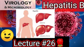 hepatitis b hepatitis b symptoms in urdu hepatitis b in hindi hepatitis b treatment hepatitis b [upl. by Sykleb847]