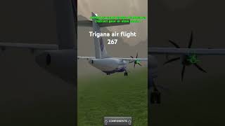 Trigana Air crash animação [upl. by Luci476]