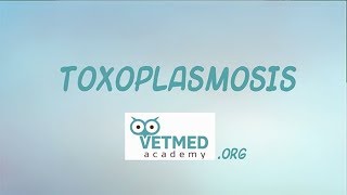 Toxoplasmosis [upl. by Notsniw]